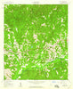 Upatoi Georgia Historical topographic map, 1:24000 scale, 7.5 X 7.5 Minute, Year 1955