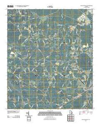 Walthourville Georgia Historical topographic map, 1:24000 scale, 7.5 X 7.5 Minute, Year 2011