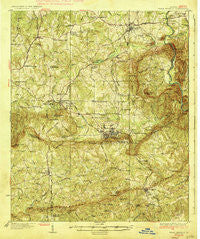 Warm Springs Georgia Historical topographic map, 1:62500 scale, 15 X 15 Minute, Year 1936