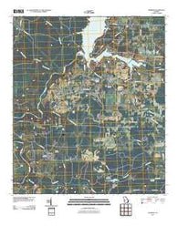 Warwick Georgia Historical topographic map, 1:24000 scale, 7.5 X 7.5 Minute, Year 2011