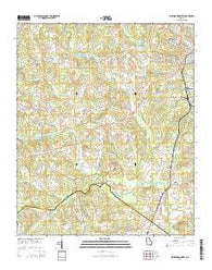 Washington West Georgia Current topographic map, 1:24000 scale, 7.5 X 7.5 Minute, Year 2014