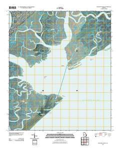 Wassaw Sound Georgia Historical topographic map, 1:24000 scale, 7.5 X 7.5 Minute, Year 2011