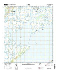 Wassaw Sound Georgia Current topographic map, 1:24000 scale, 7.5 X 7.5 Minute, Year 2014