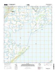 Wassaw Sound Georgia Current topographic map, 1:24000 scale, 7.5 X 7.5 Minute, Year 2014