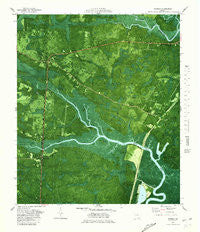 Waverly Georgia Historical topographic map, 1:24000 scale, 7.5 X 7.5 Minute, Year 1979