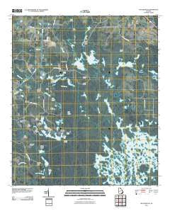 Waycross SE Georgia Historical topographic map, 1:24000 scale, 7.5 X 7.5 Minute, Year 2011