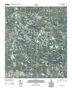 Waycross SW Georgia Historical topographic map, 1:24000 scale, 7.5 X 7.5 Minute, Year 2011
