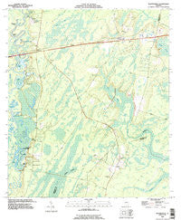 Waynesville Georgia Historical topographic map, 1:24000 scale, 7.5 X 7.5 Minute, Year 1993