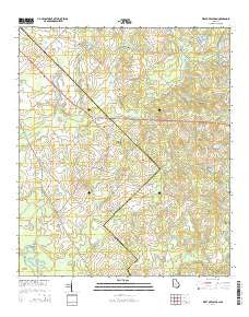 West of Eastman Georgia Current topographic map, 1:24000 scale, 7.5 X 7.5 Minute, Year 2014