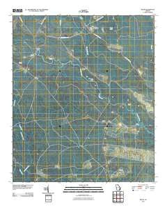 Willie Georgia Historical topographic map, 1:24000 scale, 7.5 X 7.5 Minute, Year 2011