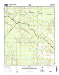 Willie Georgia Current topographic map, 1:24000 scale, 7.5 X 7.5 Minute, Year 2014