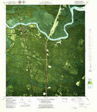 Woodbine Georgia Historical topographic map, 1:24000 scale, 7.5 X 7.5 Minute, Year 1979