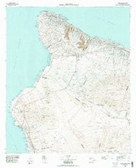 Hawaii County Sheet 1 Hawaii Historical topographic map, 1:100000 scale, 30 X 60 Minute, Year 1980