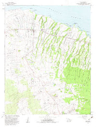 Hawi Hawaii Historical topographic map, 1:24000 scale, 7.5 X 7.5 Minute, Year 1982