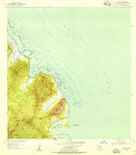 Kahana Hawaii Historical topographic map, 1:24000 scale, 7.5 X 7.5 Minute, Year 1954