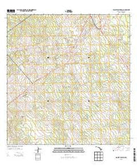 Mountain View Hawaii Current topographic map, 1:24000 scale, 7.5 X 7.5 Minute, Year 2013