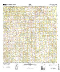 Mountain View Hawaii Historical topographic map, 1:24000 scale, 7.5 X 7.5 Minute, Year 2013