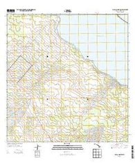 Pahoa North Hawaii Current topographic map, 1:24000 scale, 7.5 X 7.5 Minute, Year 2013