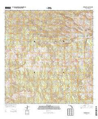 Piihonua Hawaii Current topographic map, 1:24000 scale, 7.5 X 7.5 Minute, Year 2013