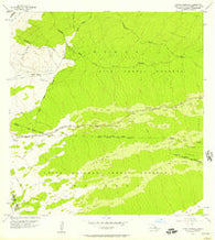 Upper Piihonua Hawaii Historical topographic map, 1:24000 scale, 7.5 X 7.5 Minute, Year 1956