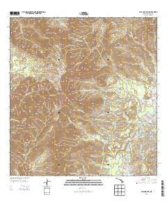 Waialeale Hawaii Current topographic map, 1:24000 scale, 7.5 X 7.5 Minute, Year 2013
