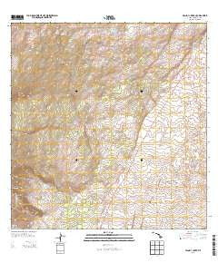 Wood Valley Hawaii Historical topographic map, 1:24000 scale, 7.5 X 7.5 Minute, Year 2013