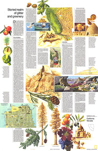 Buy map 1974 Close-up USA, California and Nevada Theme