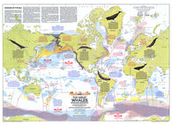 Buy map 1976 Great Whales, Migration and Range Map
