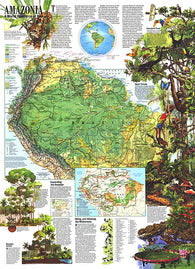 Buy map 1992 Amazonia, a World Resource At Risk Map