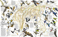 Buy map 2004 Bird Migration Eastern Hemisphere Map