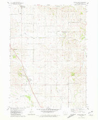 Delmar South Iowa Historical topographic map, 1:24000 scale, 7.5 X 7.5 Minute, Year 1980