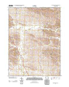 Delmar South Iowa Historical topographic map, 1:24000 scale, 7.5 X 7.5 Minute, Year 2013