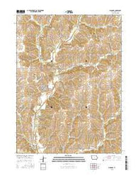 Diagonal Iowa Current topographic map, 1:24000 scale, 7.5 X 7.5 Minute, Year 2015