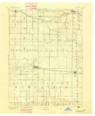 Durant Iowa Historical topographic map, 1:62500 scale, 15 X 15 Minute, Year 1894