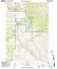 Advent Gulch Idaho Historical topographic map, 1:24000 scale, 7.5 X 7.5 Minute, Year 2004