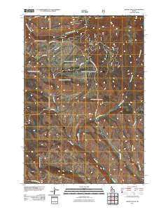 Advent Gulch Idaho Historical topographic map, 1:24000 scale, 7.5 X 7.5 Minute, Year 2011