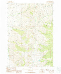Agency Creek Idaho Historical topographic map, 1:24000 scale, 7.5 X 7.5 Minute, Year 1989