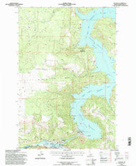 Ahsahka Idaho Historical topographic map, 1:24000 scale, 7.5 X 7.5 Minute, Year 1994
