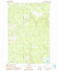 Aldermand Ridge Idaho Historical topographic map, 1:24000 scale, 7.5 X 7.5 Minute, Year 1990