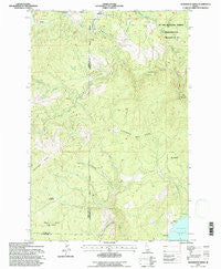 Aldermand Ridge Idaho Historical topographic map, 1:24000 scale, 7.5 X 7.5 Minute, Year 1994