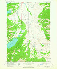 Alturas Lake Idaho Historical topographic map, 1:24000 scale, 7.5 X 7.5 Minute, Year 1963