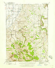 Ammon Idaho Historical topographic map, 1:62500 scale, 15 X 15 Minute, Year 1924