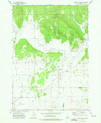 Antelope Valley Idaho Historical topographic map, 1:24000 scale, 7.5 X 7.5 Minute, Year 1972