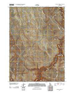 Antelope Creek Idaho Historical topographic map, 1:24000 scale, 7.5 X 7.5 Minute, Year 2010