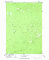 Arctic Point Idaho Historical topographic map, 1:24000 scale, 7.5 X 7.5 Minute, Year 1978