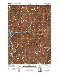 Atlanta East Idaho Historical topographic map, 1:24000 scale, 7.5 X 7.5 Minute, Year 2011