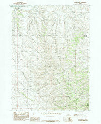 Badger Peak Idaho Historical topographic map, 1:24000 scale, 7.5 X 7.5 Minute, Year 1984