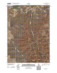 Badger Peak Idaho Historical topographic map, 1:24000 scale, 7.5 X 7.5 Minute, Year 2010