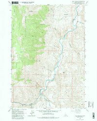 Bald Mountain Idaho Historical topographic map, 1:24000 scale, 7.5 X 7.5 Minute, Year 1963