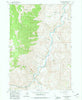 Bald Mountain Idaho Historical topographic map, 1:24000 scale, 7.5 X 7.5 Minute, Year 1963